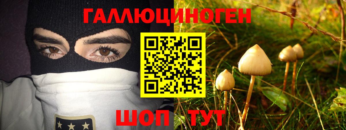 Псилоцибиновые грибы Cubensis  Вход с VPN  Нововоронеж 